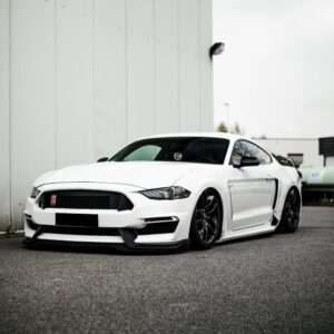 Ford Mustang: The White Knight
